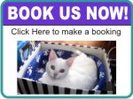 Book us now button - new client form
