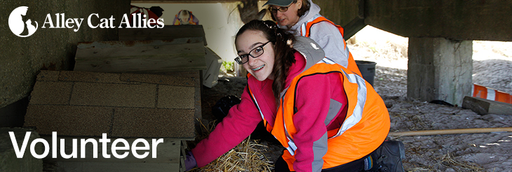 Volunteer with Alley Cat Allies