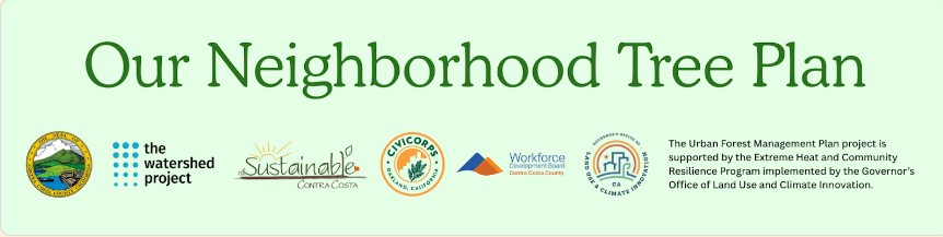 Our Neighborhood Tree Plan