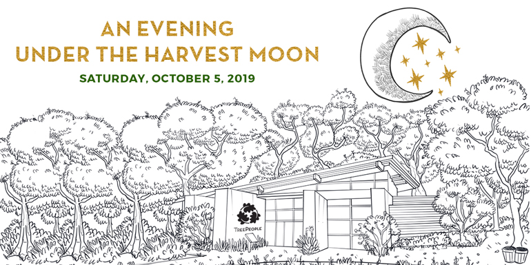 Harvest Moon 2019 Form Banner
