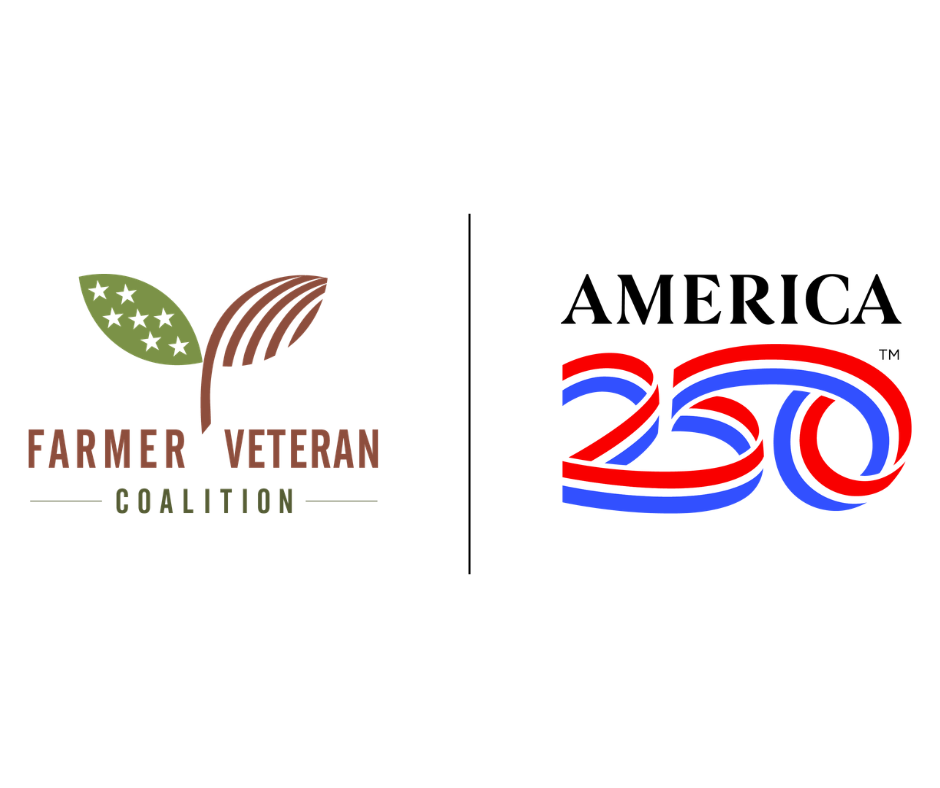 FVC x America250