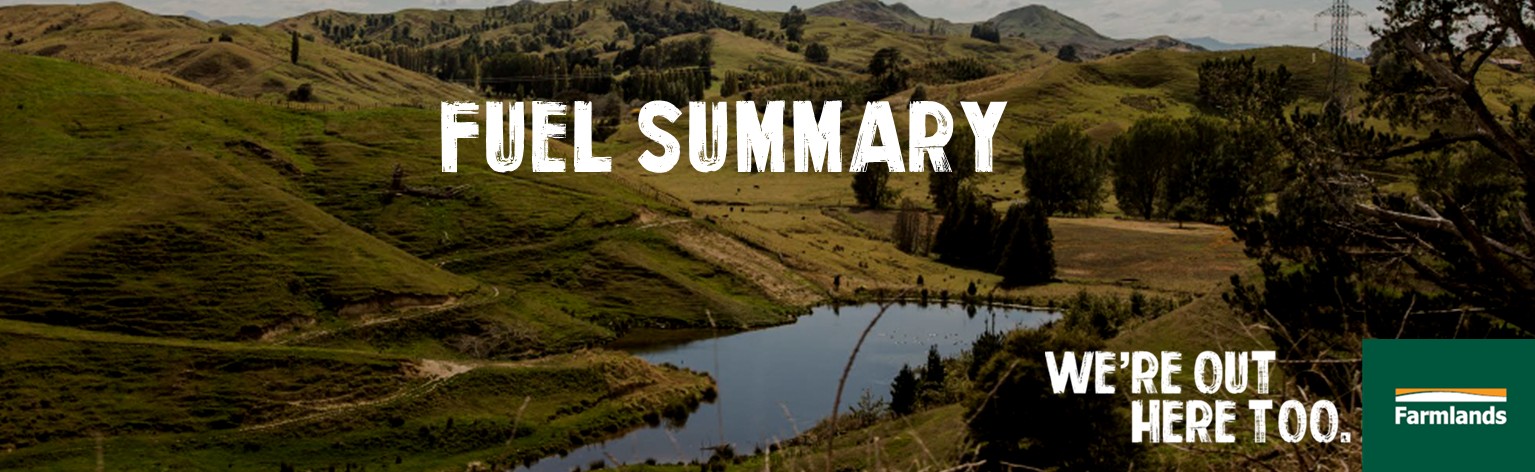 Fuel Summary