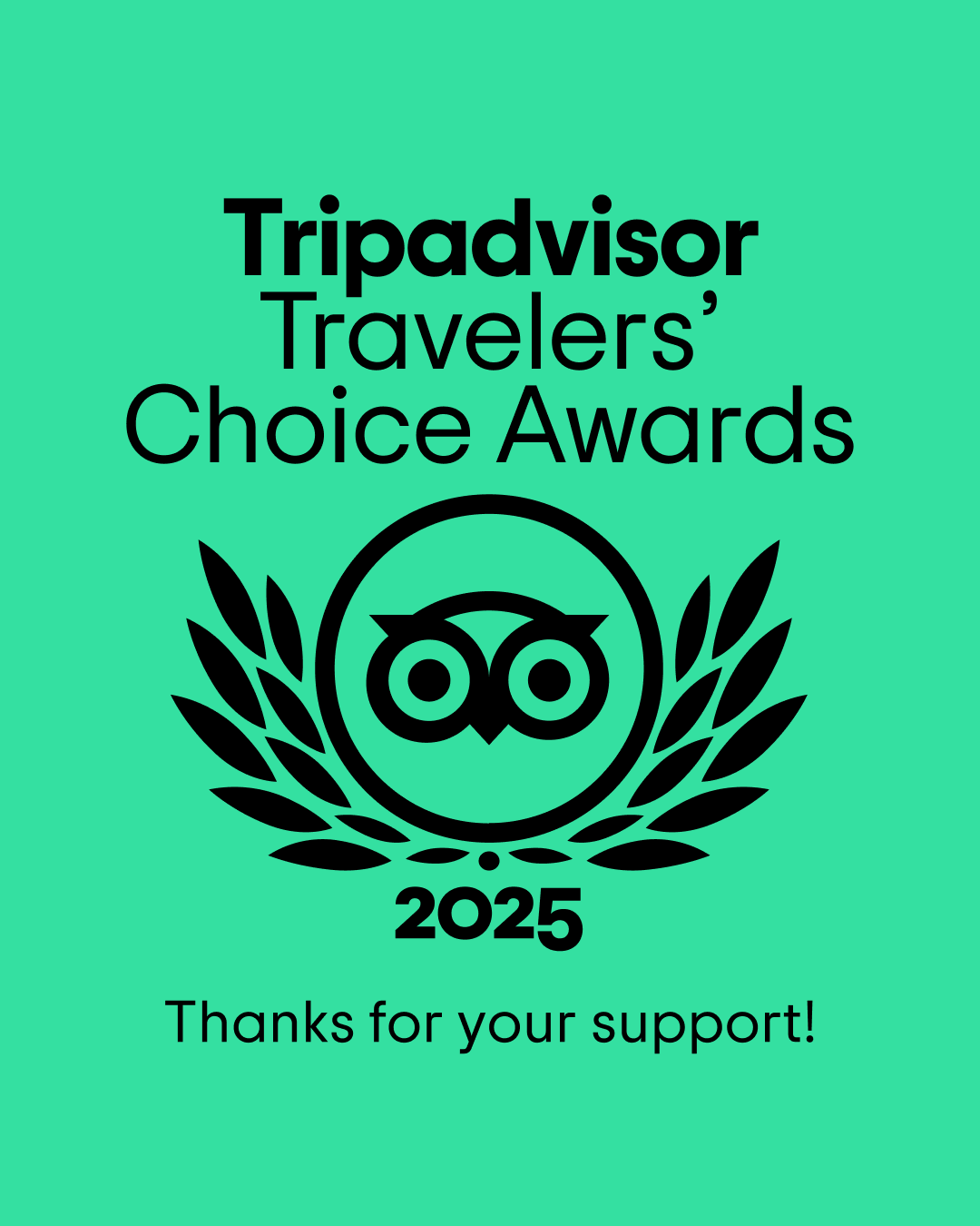 2025 Tripadvisor Travelers Choice Award