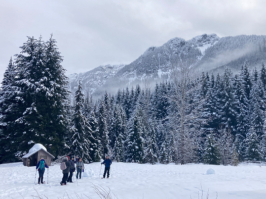 A group of workshop participants on a snowshoe workshop are standing in a snow covered meadow, enjoying the views