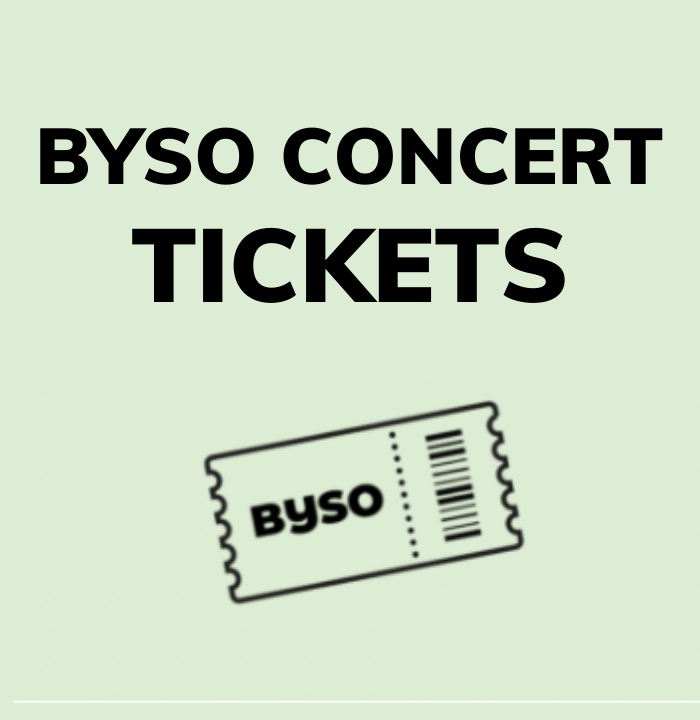 Single Ticket icon