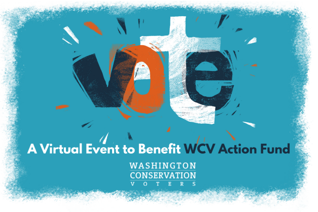 An image with a blue background and the words "Vote: A Virtual Event to Benefit WCV Action Fund" in multiple colors