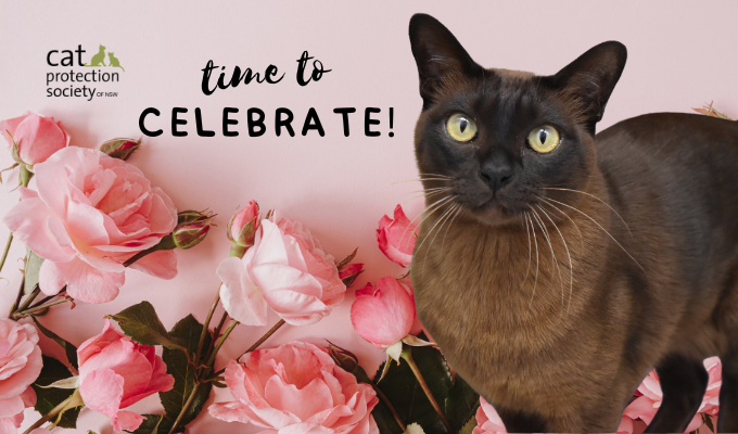 Celebrate with flowers