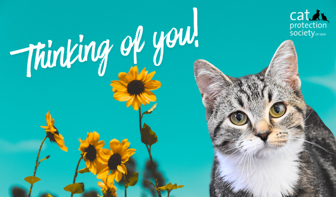 Thinking of you card