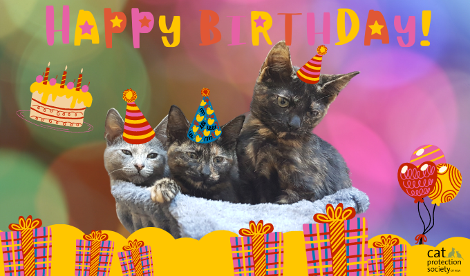 Happy Birthday Warm Colours