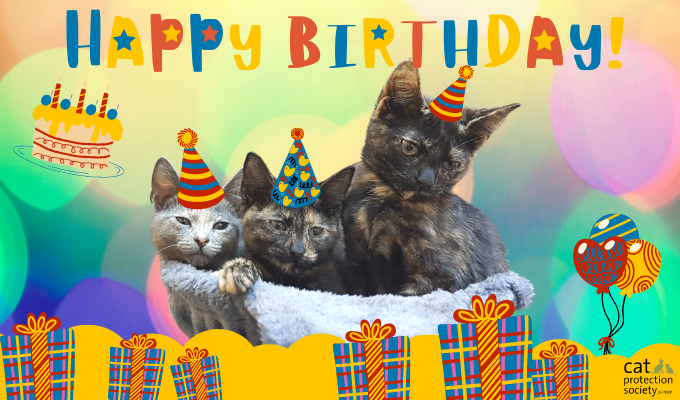 Happy Birthday Cool Colours