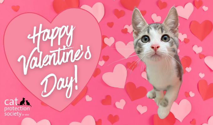 Happy Valentines Card