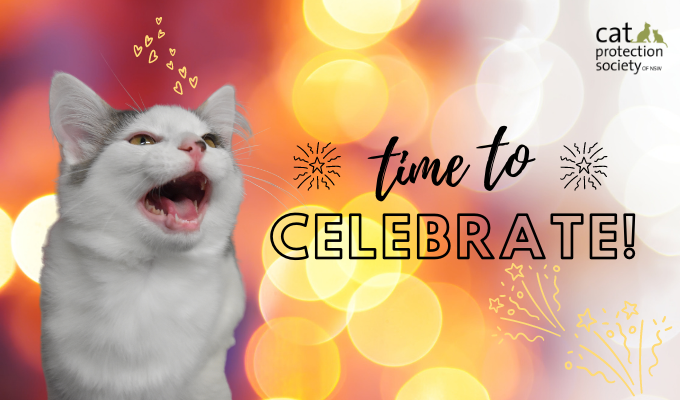 Celebrate with sparkles