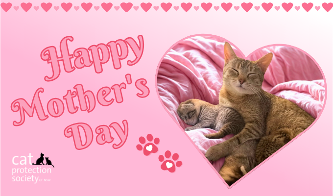 Happy Mothers Day Pink