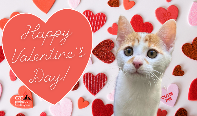 Happy valentines Red