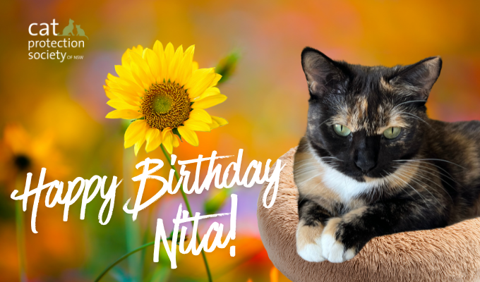 Happy Birthday Day Nita