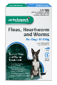 Flea and Worm Treatment For Dogs 10-25kg