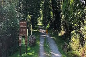 Put directional signs on the walk route and take down