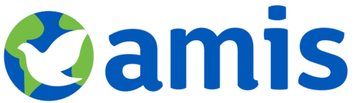 AMIS, Inc.