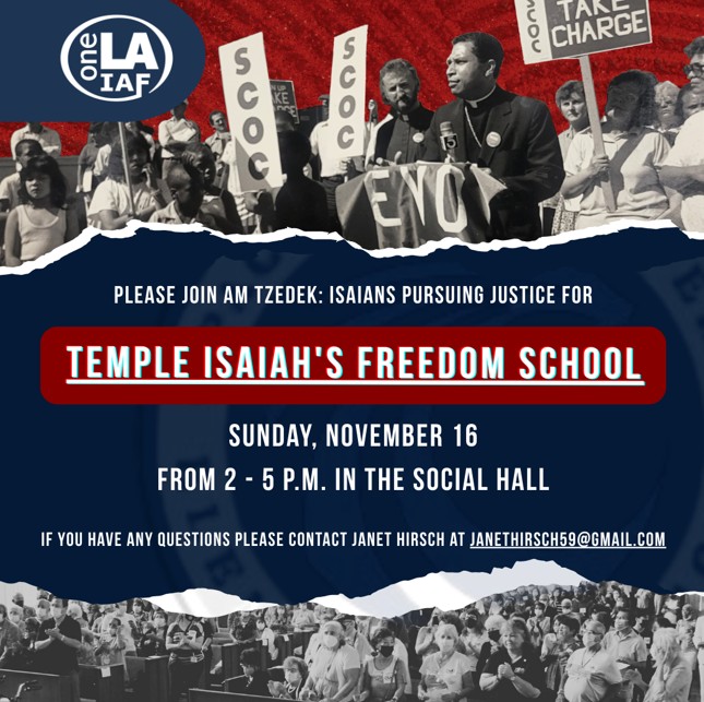 friday night shabbat pic for forms.jpg