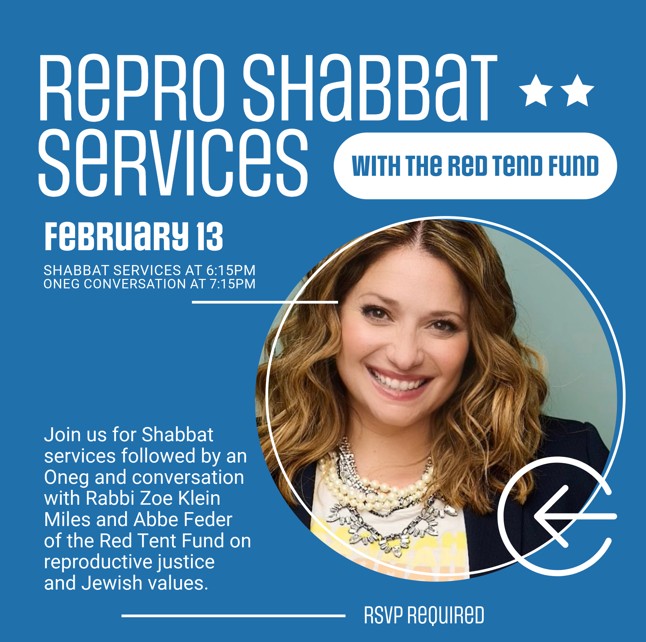 repro shabbat