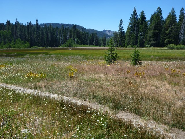 Page Meadows