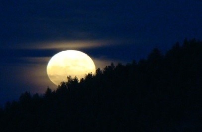 Full Moon Hike Tahoe Rim Trail Association