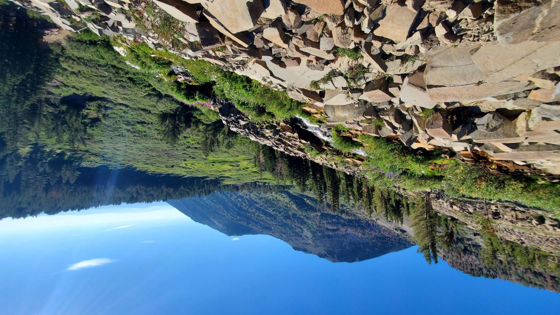 Galena Falls Wildflower hike