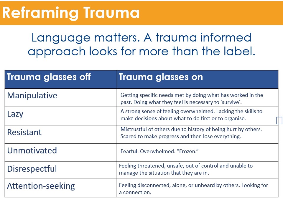 Safeguarding - Reframing Trauma slide