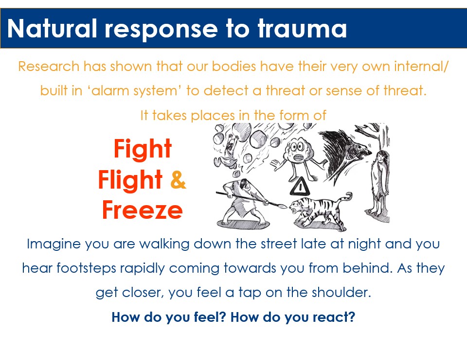 Safeguarding - Natural Response to Trauma slide