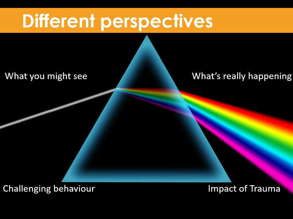 Safeguarding - Different Perspective slide