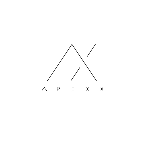 APEXX Fintech LTD