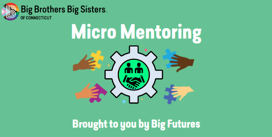 BF Micro Mentoring