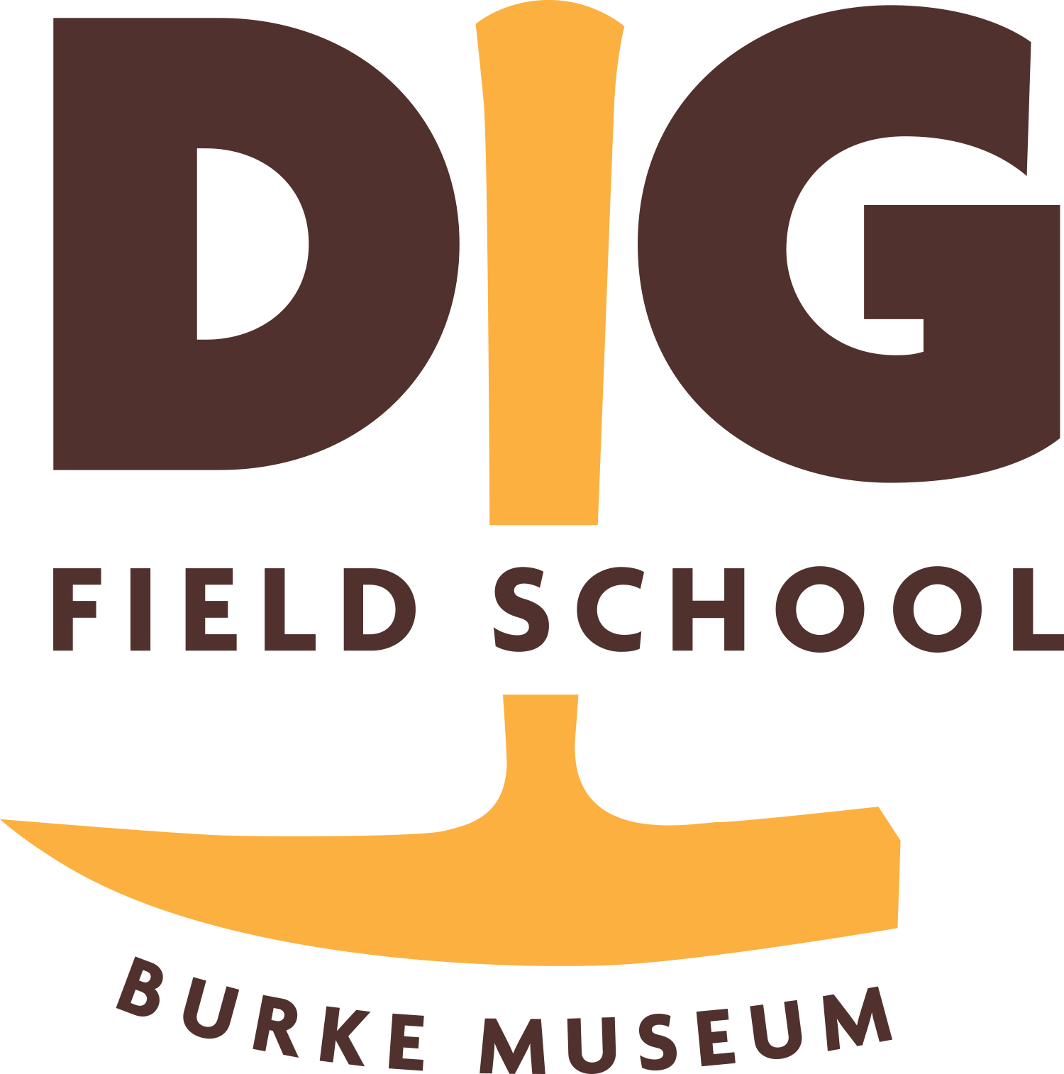 DIG Logo