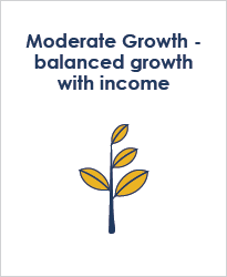 Moderate Growth - Balanced