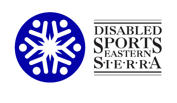 DSES Logo