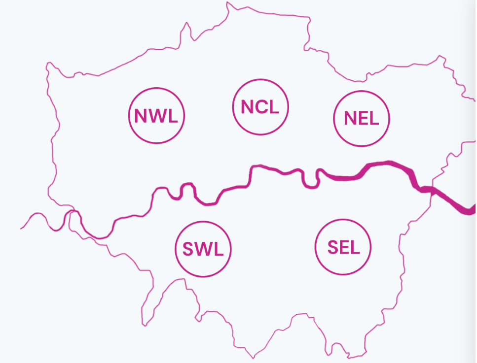 London NHS Hub Areas