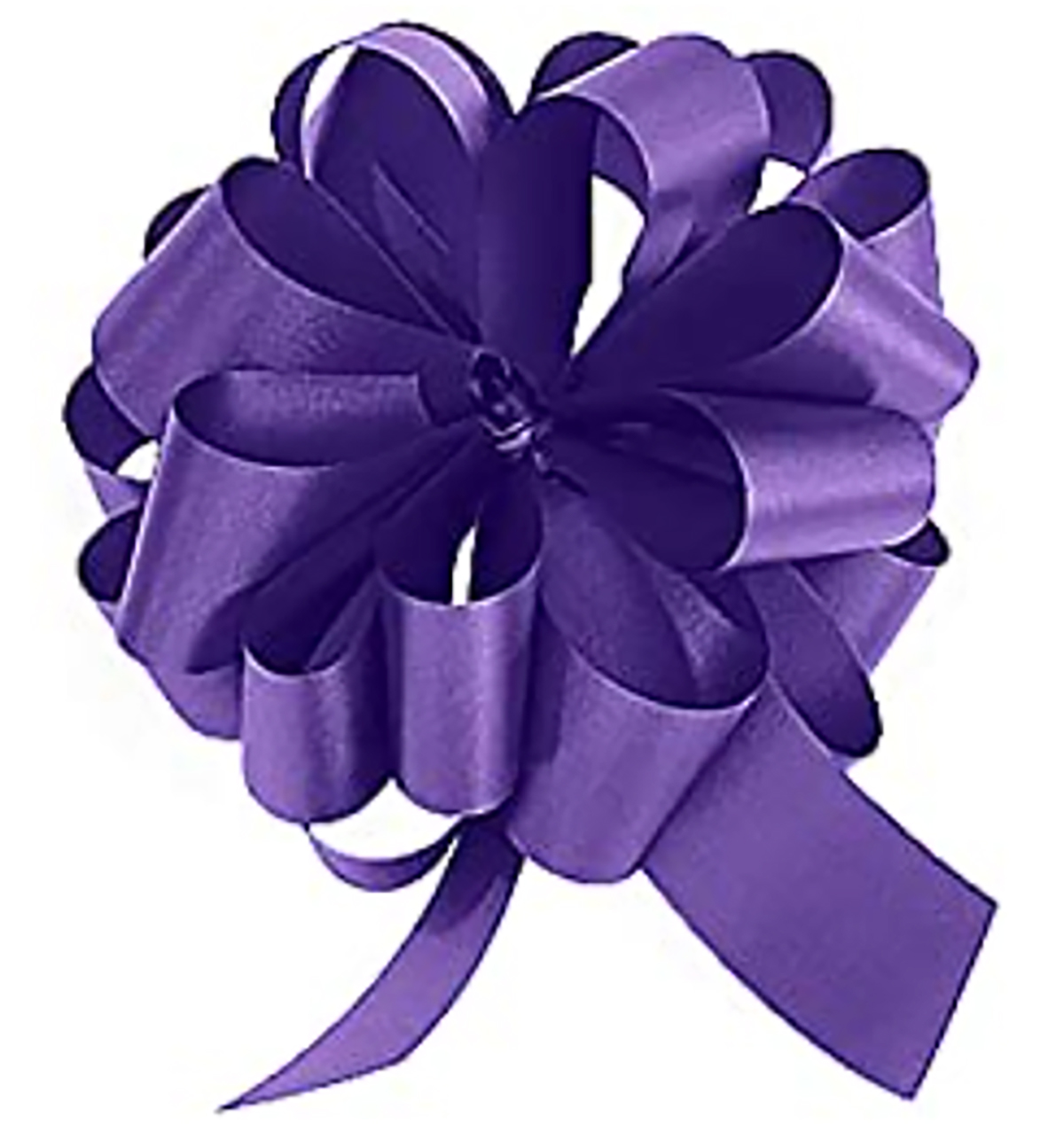 Purple Bow