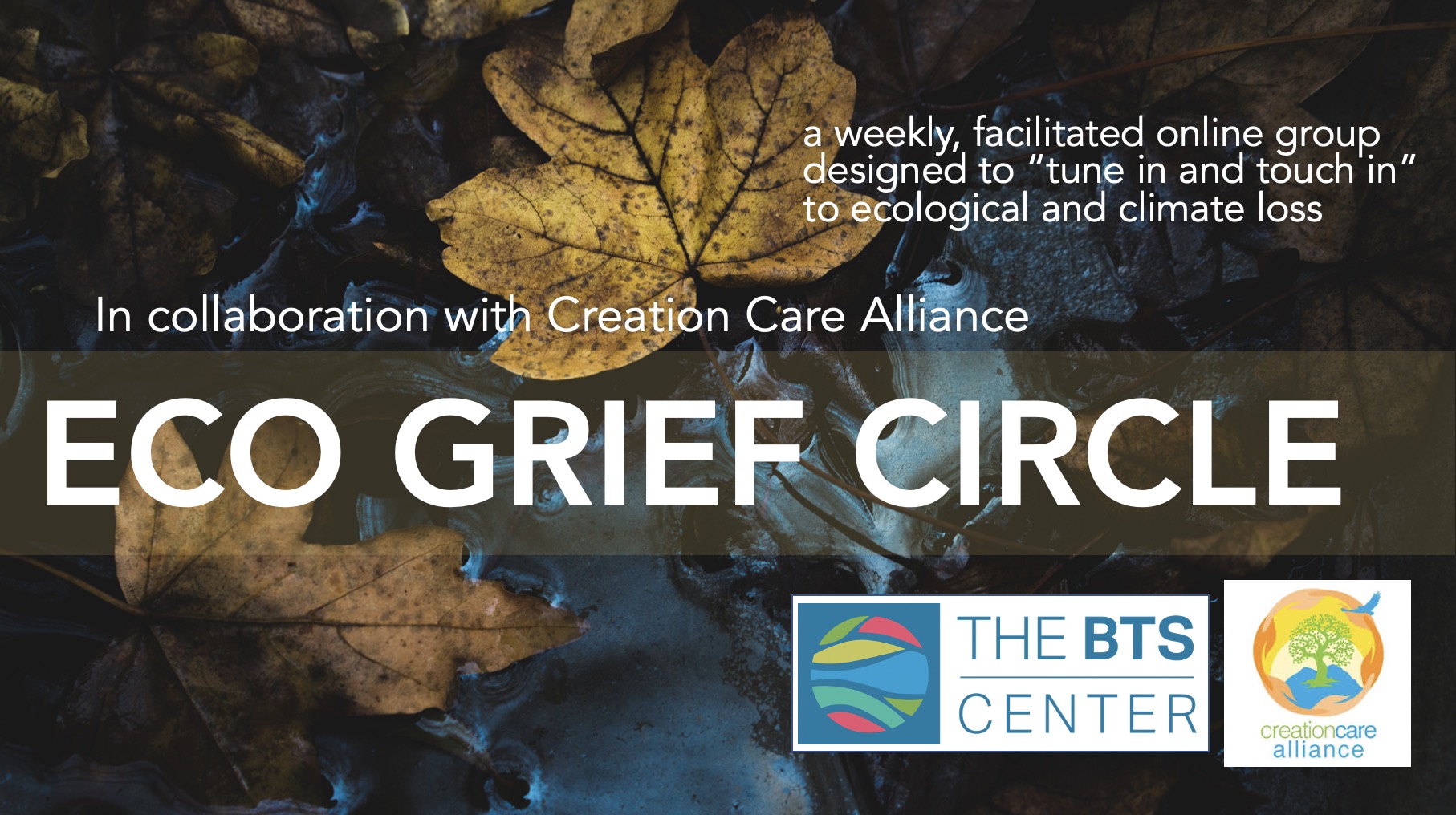 Eco grief circle