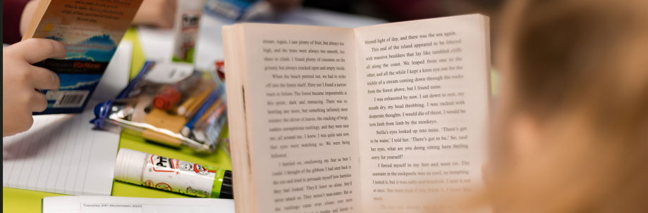 image of a pupil reading a book