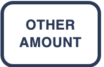 Other amount