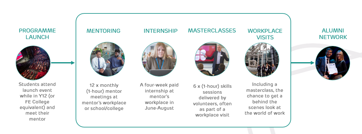 A visual breakdown of our programme