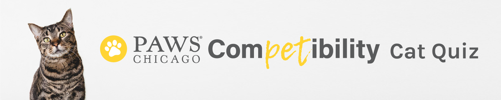 ComPETibility Cat Quiz