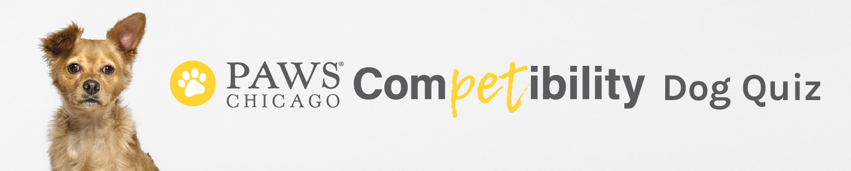 ComPETibility Dog Quiz