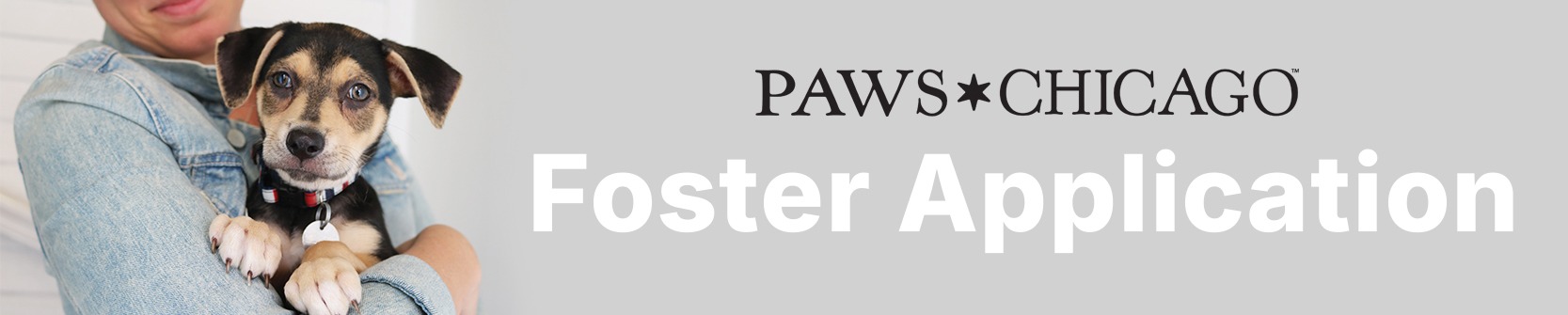 PAWS Chicago Foster Application