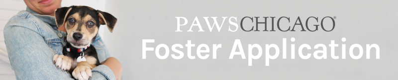 PAWS Chicago Foster Application