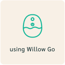 using Willow Go