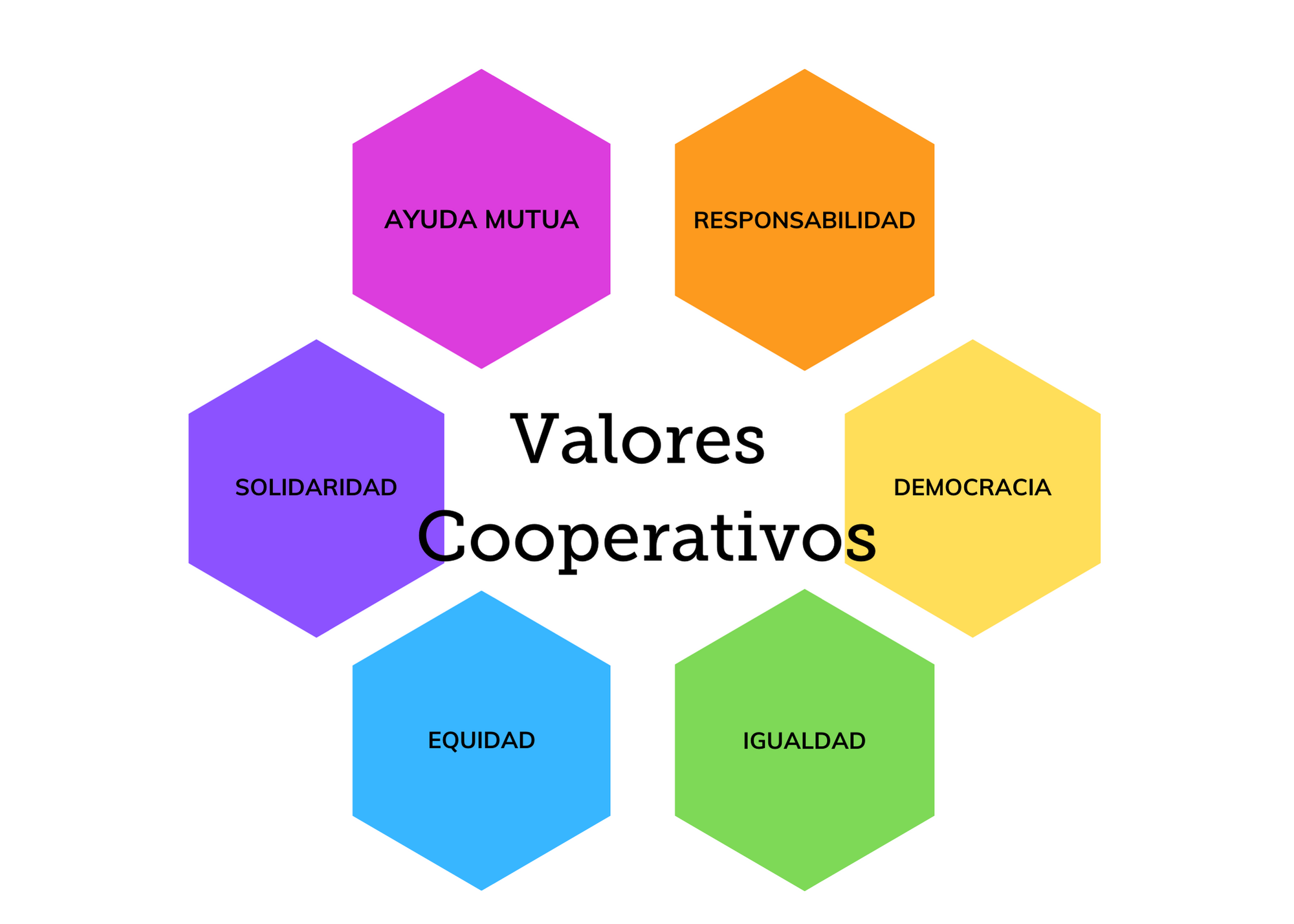 Los valores cooperativos son: ayuda mutua, democracia, responsabilidad, igualdad, equidad y solidaridad