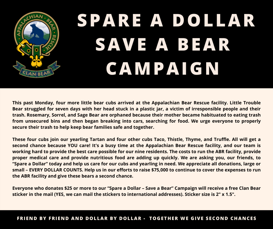 Spare a Dollar Save a Bear Campaign