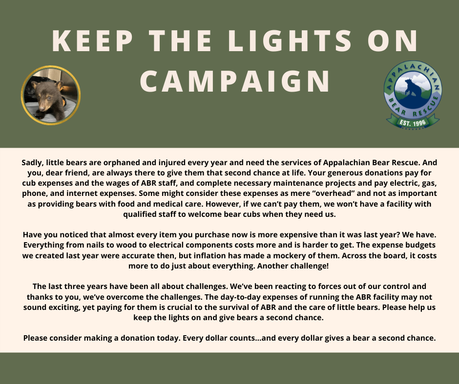 Keep the Lights on Campaign