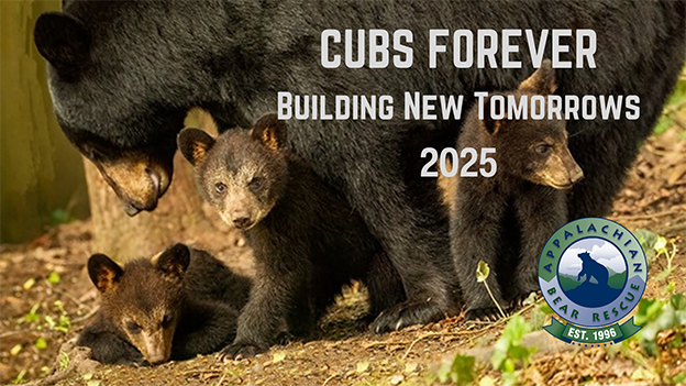 Appalachian Bear Rescue fundraising - picture of mother bear and cubs